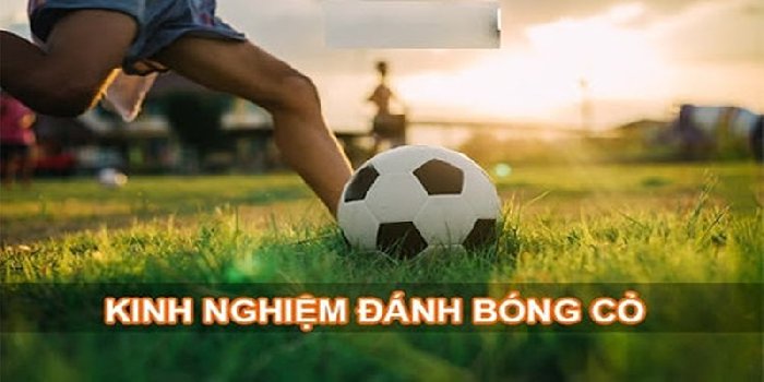 Kinh Nghiệm Cược Kèo Bóng Cỏ Chơi Đâu Trúng Đó