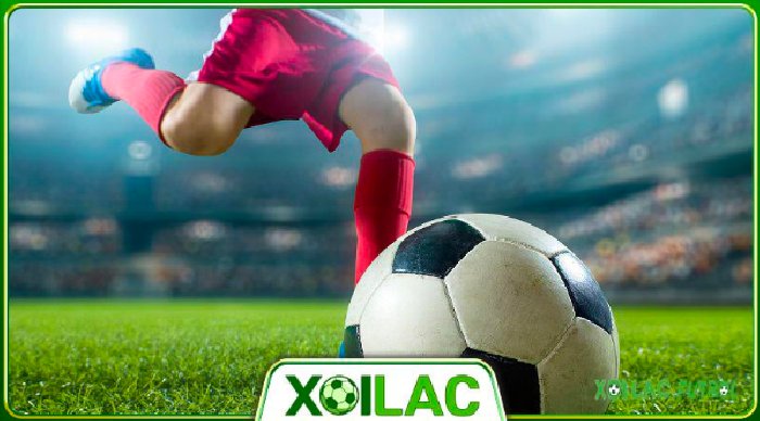 Xoilac TV - Trải nghiệm bóng đá không giới hạn