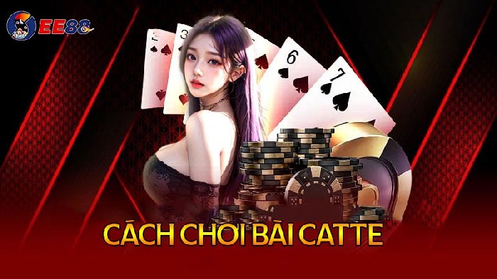 Hướng dẫn cách chơi bài catte đơn giản, dễ hiểu cho tân thủ 